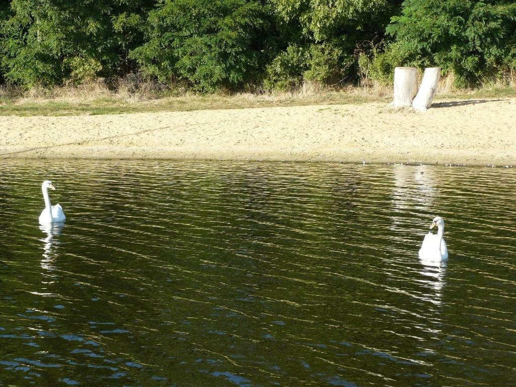Вілла Osrodek Wypoczynkowy Sielawa Хшипсько-Велике Екстер'єр фото
